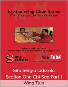 Wing Tjun - Sifu Sergio Iadorola - Section One Chi Sao Part 1