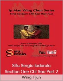 Wing Tjun - Sifu Sergio Iadorola - Section One Chi Sao Part 2