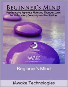 iAwake Technologies - Beginner's Mind