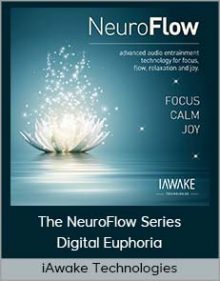 iAwake Technologies - The NeuroFlow Series - Digital Euphoria