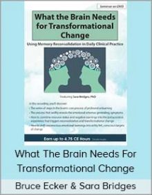 Bruce Ecker & Sara Bridges - What The Brain Needs For Transformational Change