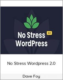 Dave Foy - No Stress Wordpress 2