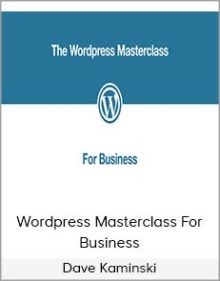 Dave Kaminski – Wordpress Masterclass For Business