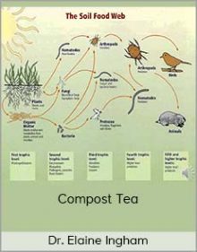 Dr Elaine Ingham – Compost Tea