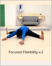 Focused Flexibility V 2