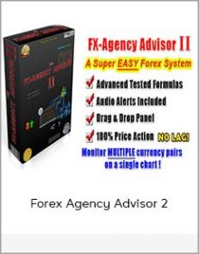 Forex Agency Advisor 2