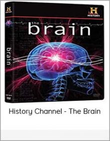 History Channel - The Brain