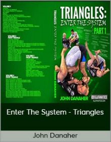 John Danaher - Enter The System - Triangles