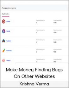 Krishna Verma - Make Money Finding Bugs On Other Websites