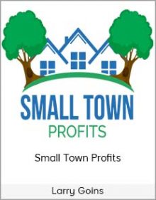 Larry Goins - Small Town Profits