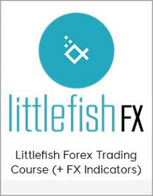 Littlefish Forex Trading Course (+ FX Indicators)