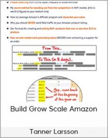 Tanner Larsson - Build Grow Scale Amazon