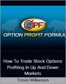 Travis Wilkerson - How To Trade Stock Options - Profiting In Up And Down Markets