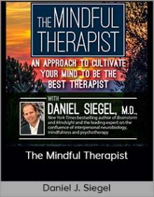 Daniel J. Siegel - The Mindful Therapist