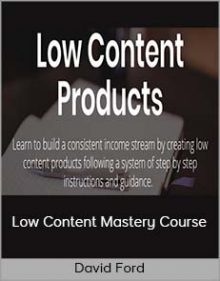 David Ford - Low Content Mastery Course