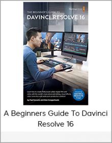 A Beginners Guide To Davinci Resolve 16