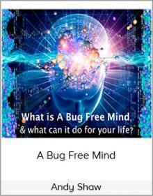 A Bug Free Mind - Andy Shaw