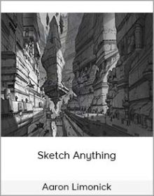 Aaron Limonick - Sketch Anything