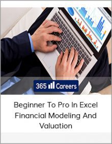 Beginner To Pro In Excel Financial Modeling And Valuation