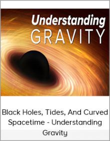 Black Holes, Tides, And Curved Spacetime - Understanding Gravity