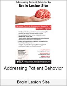 Brain Lesion Site - Addressing Patient Behavior