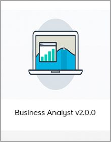 Business Analyst v2