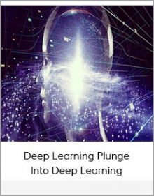 Deep Learning Plunge Into Deep Learning