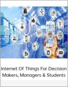 Internet Of Things For Decision Makers, Managers & Students