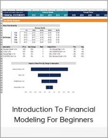 Introduction To Financial Modeling For Beginners