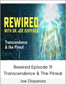 Joe Dispenza - Rewired Episode 11 - Transcendence & The Pineal