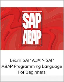 Learn SAP ABAP- SAP ABAP Programming Language For Beginners