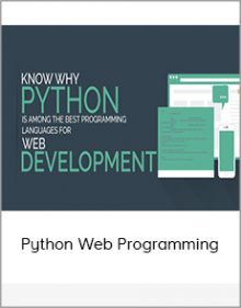 Python Web Programming