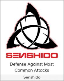 Senshido - Defense Against Most Common Attacks