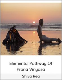 Shiva Rea - Elemental Pathway Of Prana Vinyasa