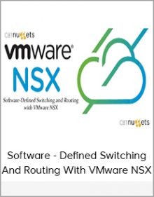 Software - Defined Switching And Routing With VMware NSX