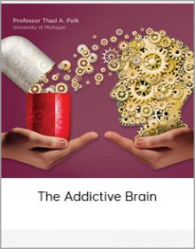 The Addictive Brain