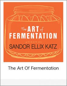 The Art Of Fermentation