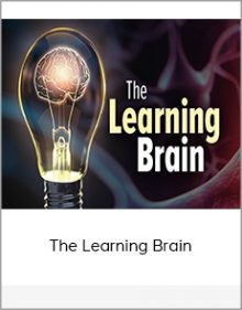 The Learning Brain