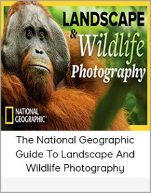 The National Geographic Guide To Landscape And Wildlife Photography