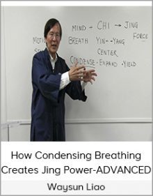 Waysun Liao - How Condensing Breathing Creates Jing Power - ADVANCED