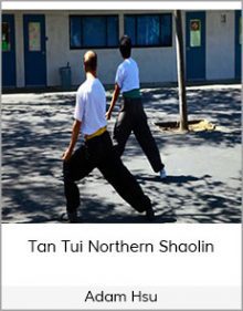 Adam Hsu - Tan Tui Northern Shaolin