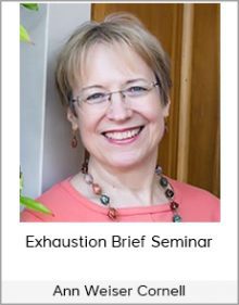 Ann Weiser Cornell - Exhaustion Brief Seminar