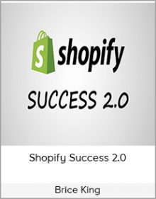 Brice King - Shopify Success 2