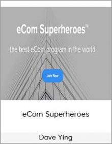 Dave Ying - eCom Superheroes