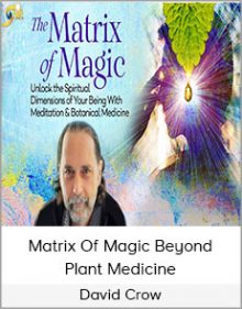 David Crow - Matrix Of Magic Beyond Plant Medicine