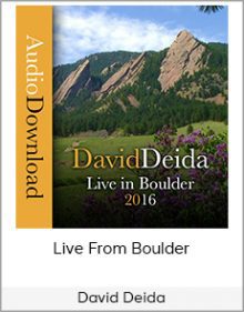 David Deida - Live From Boulder