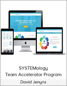 David Jenyns - SYSTEMology - Team Accelerator Program