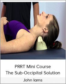 John Iams - PRRT Mini Course - The Sub-Occipital Solution