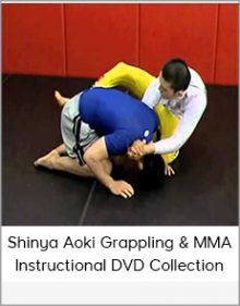 Shinya Aoki Grappling & MMA Instructional DVD Collection