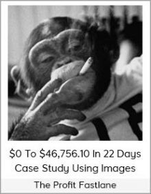 The Profit Fastlane - $0 To $46,756 10 In 22 Days Case Study Using Images